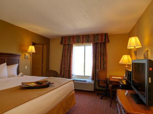 Hotel Quality Inn & Suites Medical Park