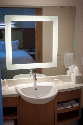 Hotel Springhill Suites By Marriott Canton