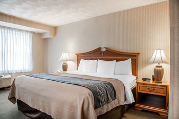 Hotel Comfort Inn At Newport Beach