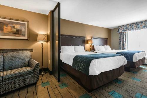 Hotel Comfort Suites Near Mcas Beaufort