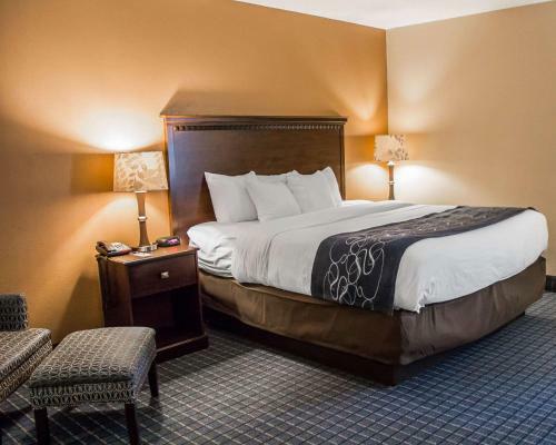 Hotel Comfort Suites Near Mcas Beaufort