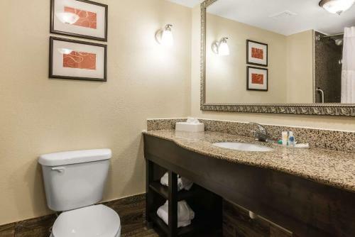 Hotel Comfort Suites Near Mcas Beaufort