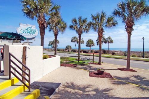 Apartamento Ocean Forest 506