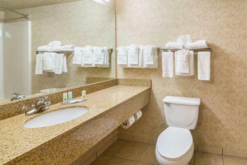 Hotel Comfort Inn I-90 Rapid City