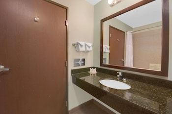 Hotel Baymont Inn & Suites Rapid City