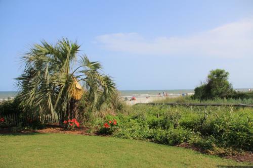 Hotel Jade Tree Cove