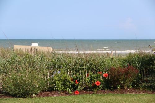 Hotel Jade Tree Cove