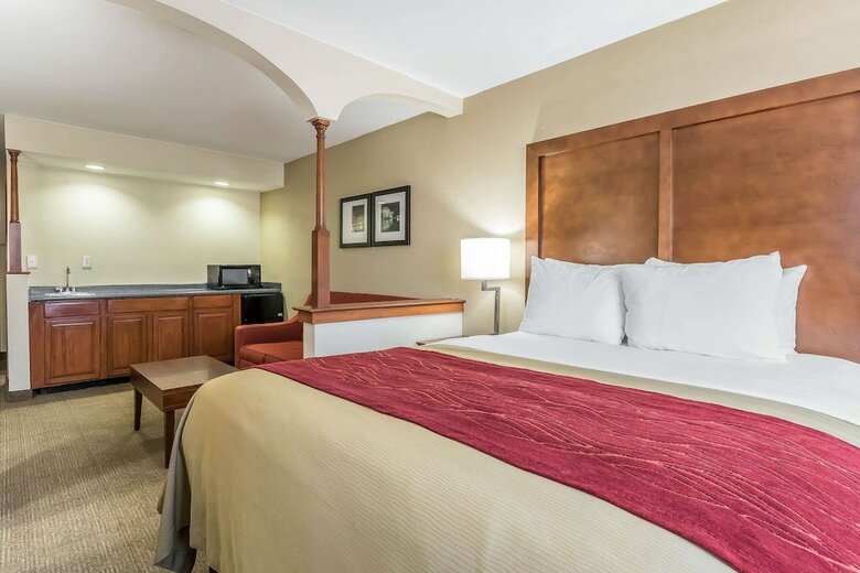 Hotel Comfort Inn Nashville Tennessee State University
