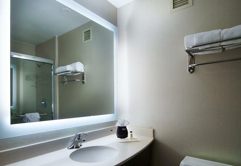Hotel Holiday Inn Nashville-vanderbilt - Downtown