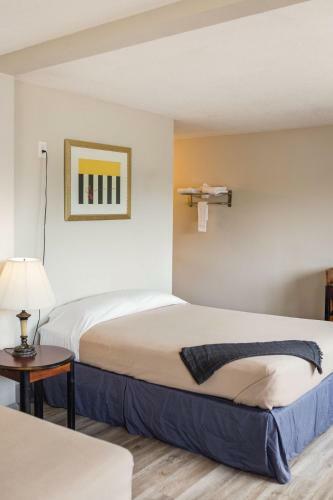 Motel Red Carpet Inn & Suites Beaumont