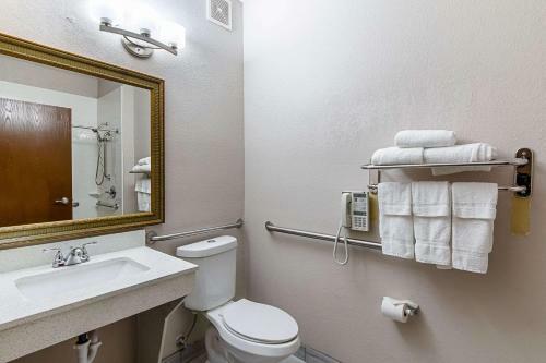 Hotel Quality Suites South Austin
