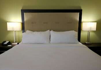 Hotel Holiday Inn Corpus Christi Downtown Marina