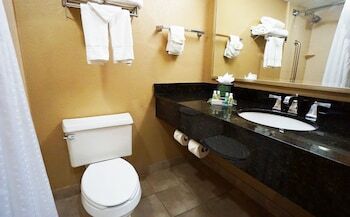 Hotel Holiday Inn Corpus Christi Downtown Marina