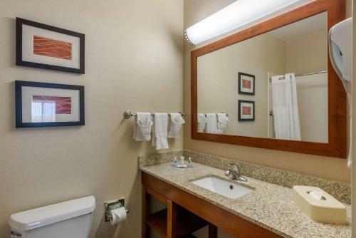 Hotel Comfort Inn Dfw Airport North