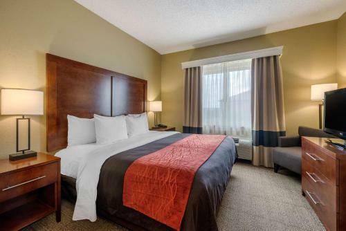 Hotel Comfort Inn Dfw Airport North