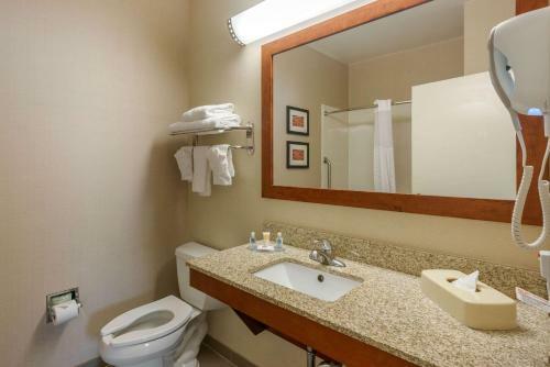 Hotel Comfort Inn Dfw Airport North