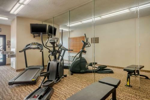 Hotel Comfort Inn Dfw Airport North