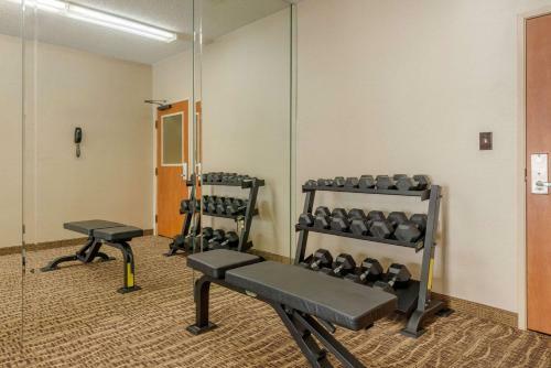 Hotel Comfort Inn Dfw Airport North