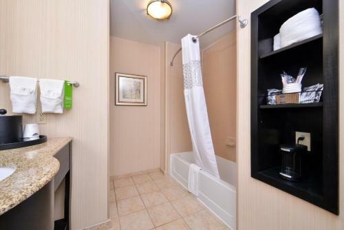 Hotel Hampton Inn Pecos