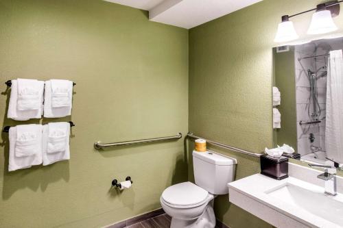 Hotel Quality Inn & Suites Plano