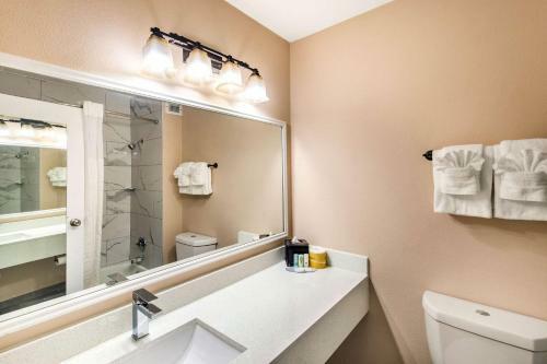Hotel Quality Inn & Suites Plano