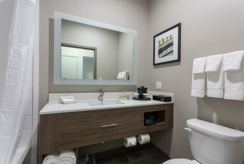 Hotel Holiday Inn San Marcos