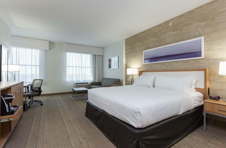 Hotel Holiday Inn San Marcos