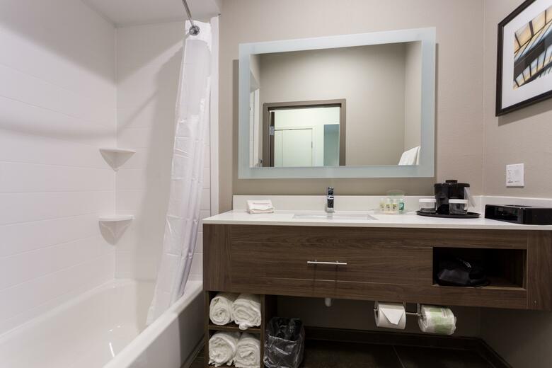 Hotel Holiday Inn San Marcos
