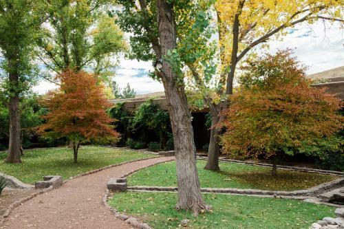 Hotel Cibolo Creek Ranch