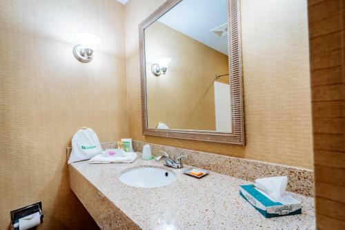 Hotel Wyndham Garden Houston Northwest Willowbrook
