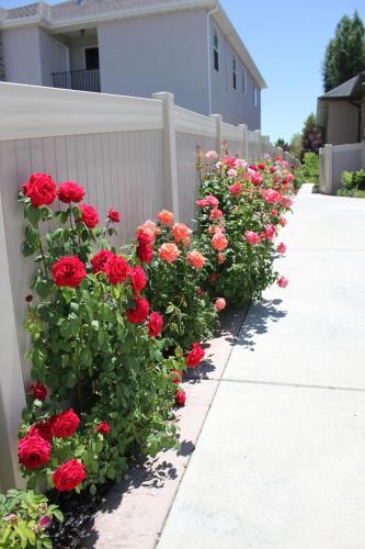 Apartamento Sunny Garden Homestay