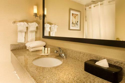Hotel Comfort Suites Dulles Airport