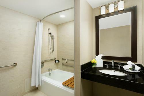 Hotel Hyatt Arlington