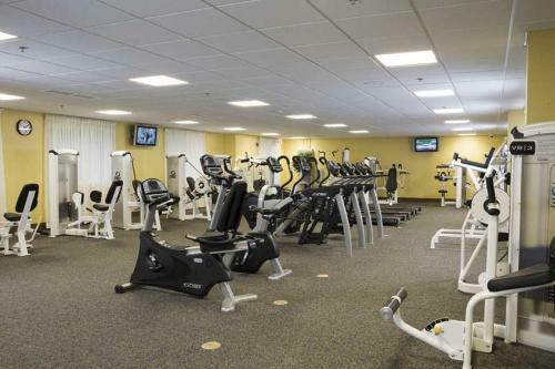 Hotel Holiday Inn Express & Suites Charlottesville North