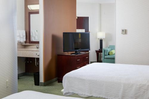 Hotel Springhill Suites By Marriott Norfolk Virginia Beach