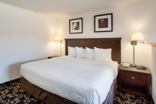 Motel Econo Lodge Inn And Suites Bellingham