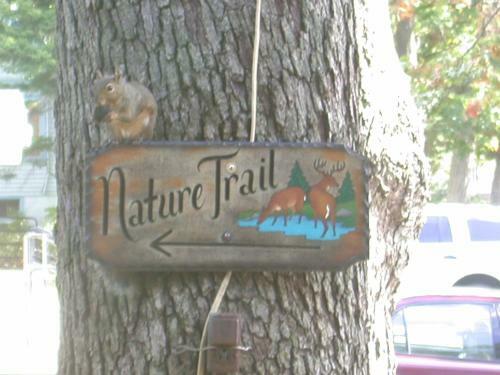 Indian Trail Motel