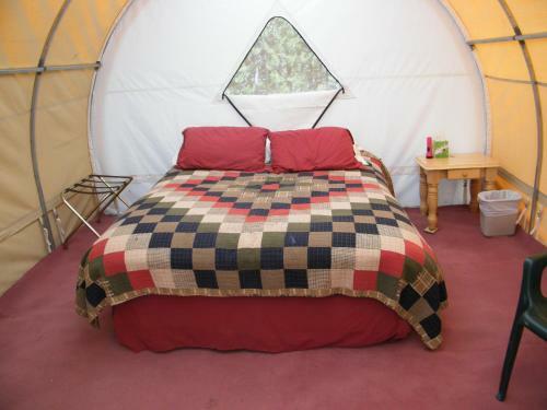 Bedroll And Breakfast ?