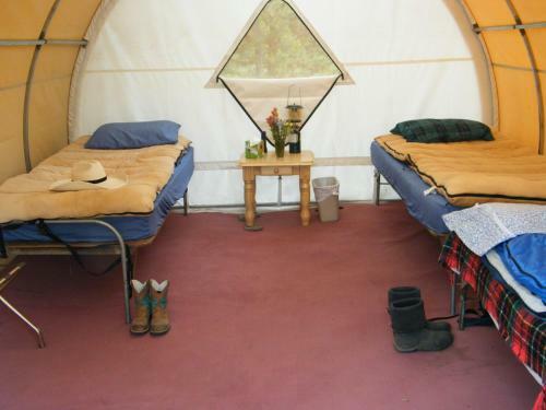 Bedroll And Breakfast ?
