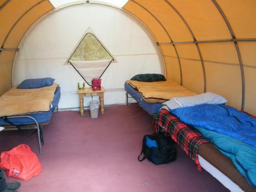Bedroll And Breakfast ?