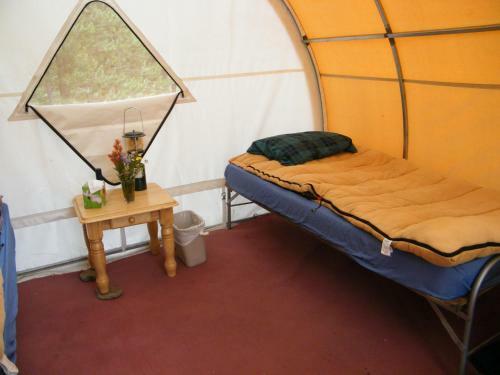 Bedroll And Breakfast ?