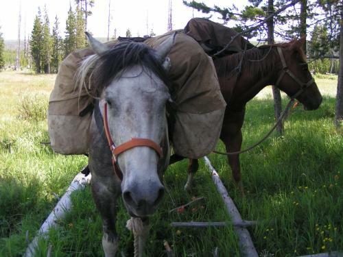 Bedroll And Breakfast ?