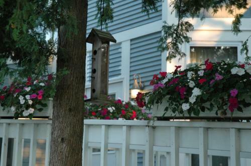 White Rose Motel