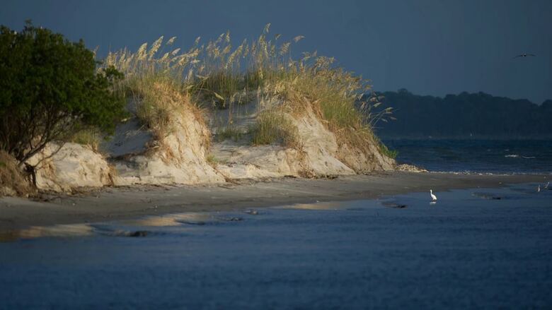 Hotel Holiday Inn Resort Jekyll Island