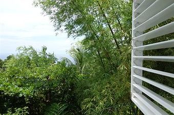 Hotel Mocking Bird Hill