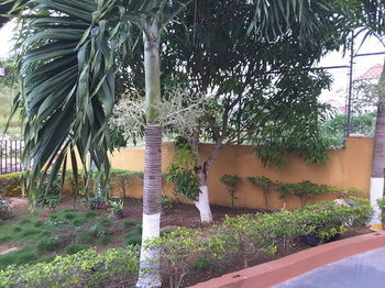 Hotel Cazwin Villa
