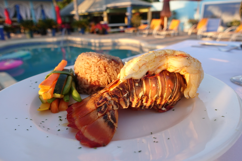 Hotel Negril Palms