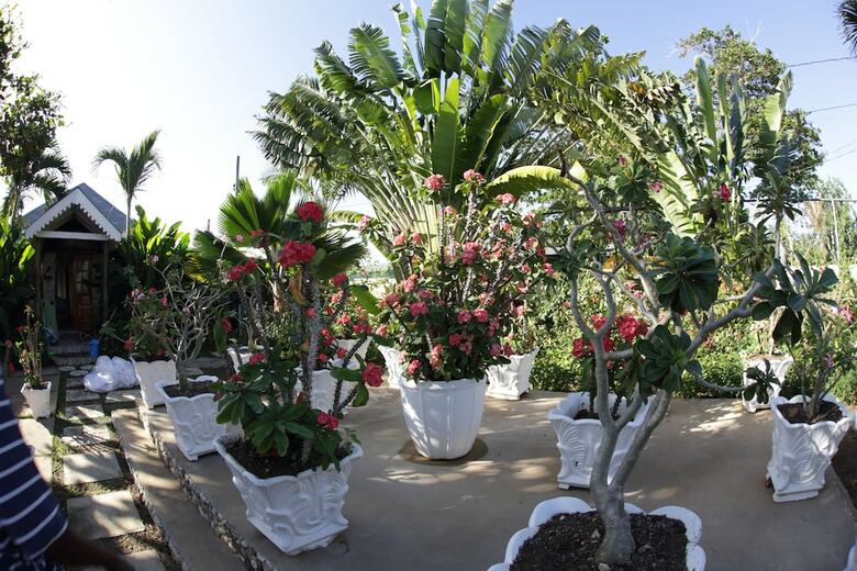 Hotel Negril Palms