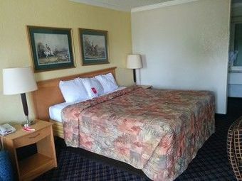 Hotel Econo Lodge Near Fort Stewart