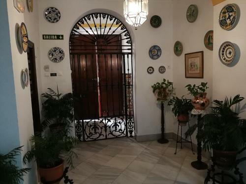 Hostal Maestre